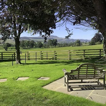 The Horse Box 莱伯恩